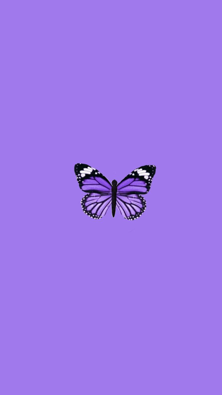 Cute Aesthetic Butterflies Wallpapers Wallpapers