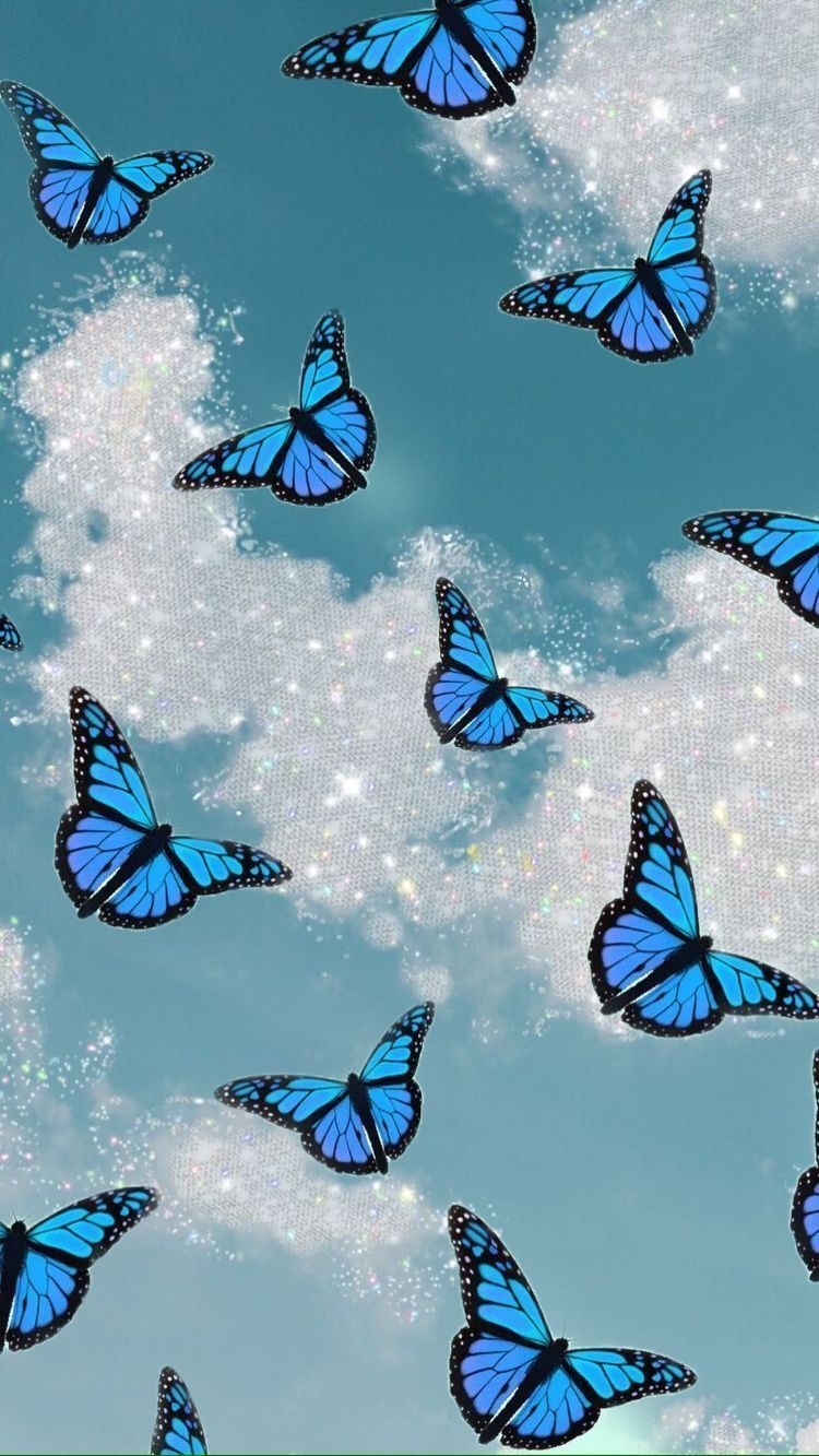 Cute Aesthetic Butterfly Wallpapers Wallpapers