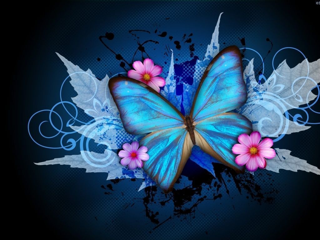 Cute Aesthetic Butterfly Wallpapers Wallpapers