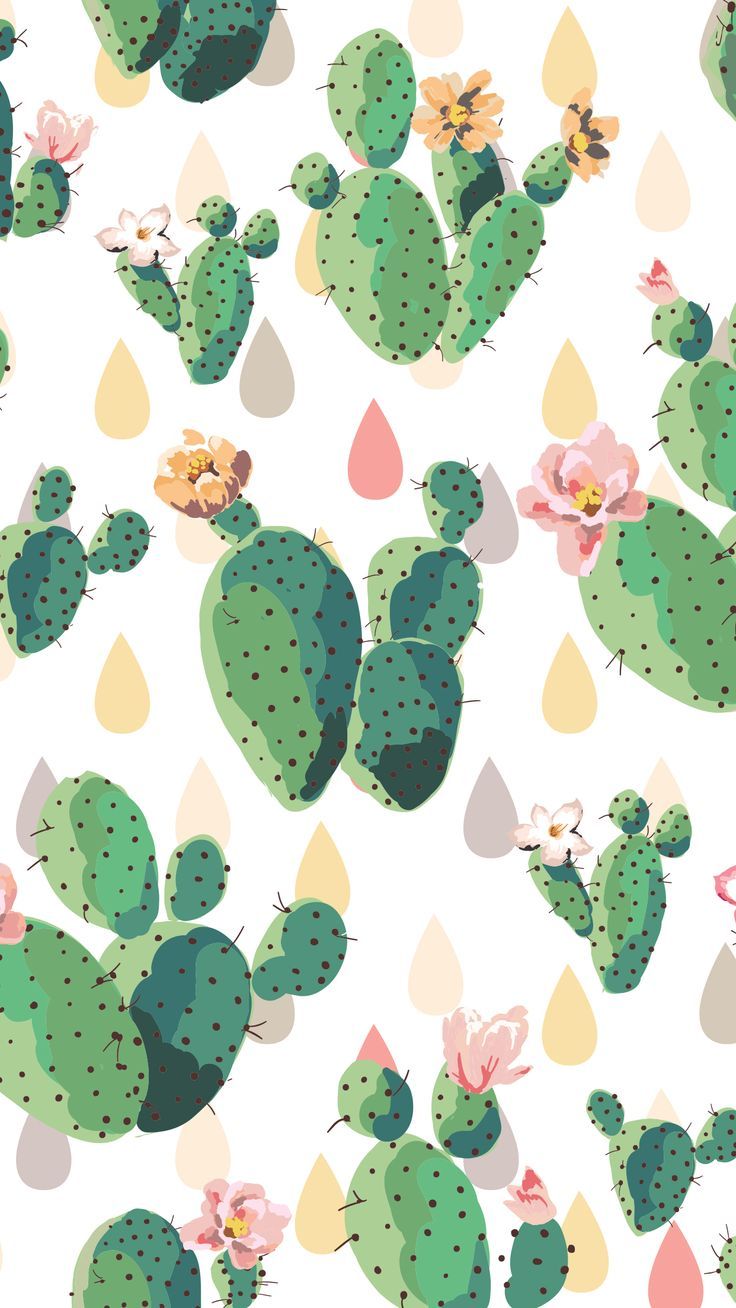 Cute Aesthetic Cactus Wallpapers Wallpapers