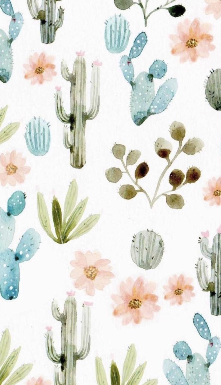 Cute Aesthetic Cactus Wallpapers Wallpapers