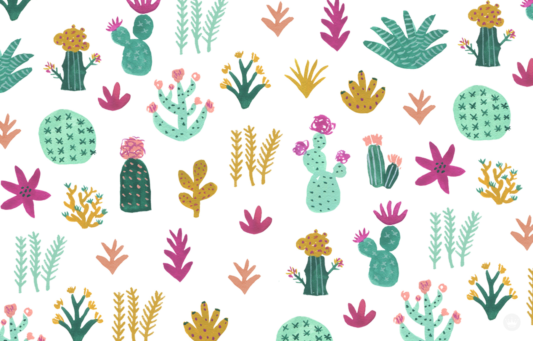 Cute Aesthetic Cactus Wallpapers Wallpapers