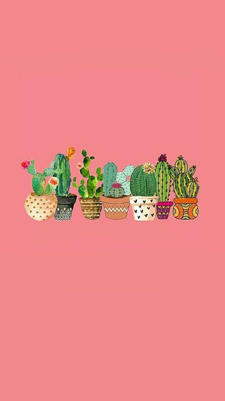 Cute Aesthetic Cactus Wallpapers Wallpapers