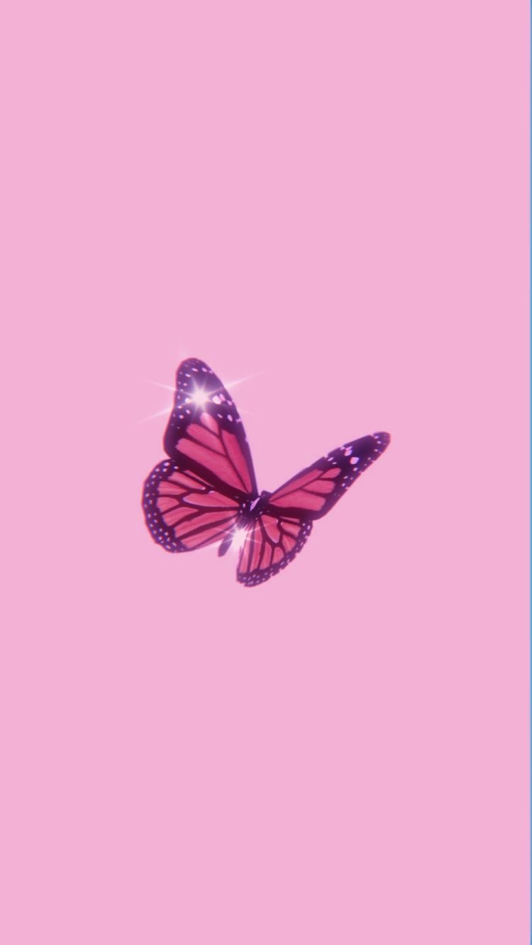 Cute Aesthetic Pink Butterfly Wallpapers Wallpapers