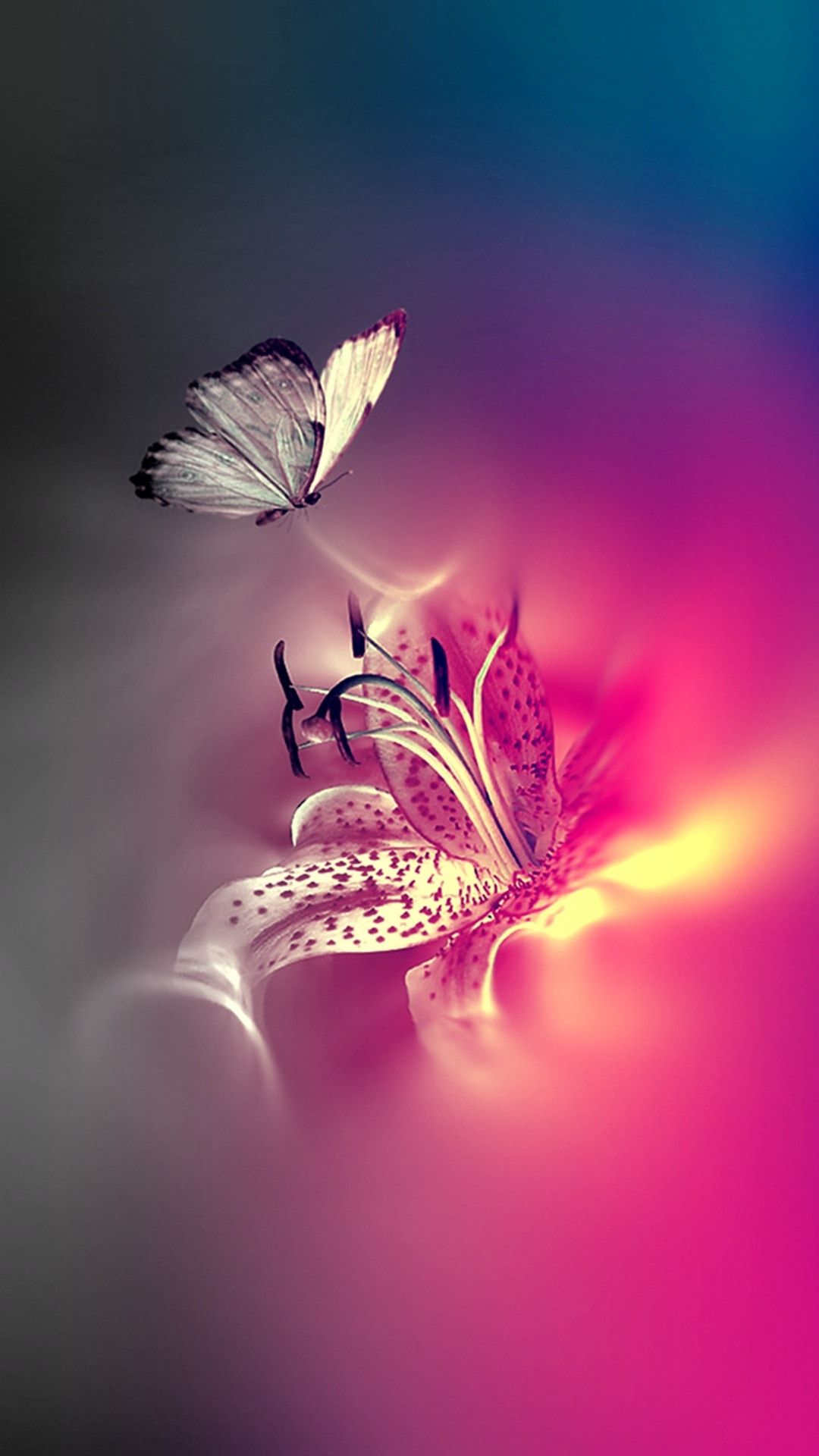 Cute Aesthetic Pink Butterfly Wallpapers Wallpapers