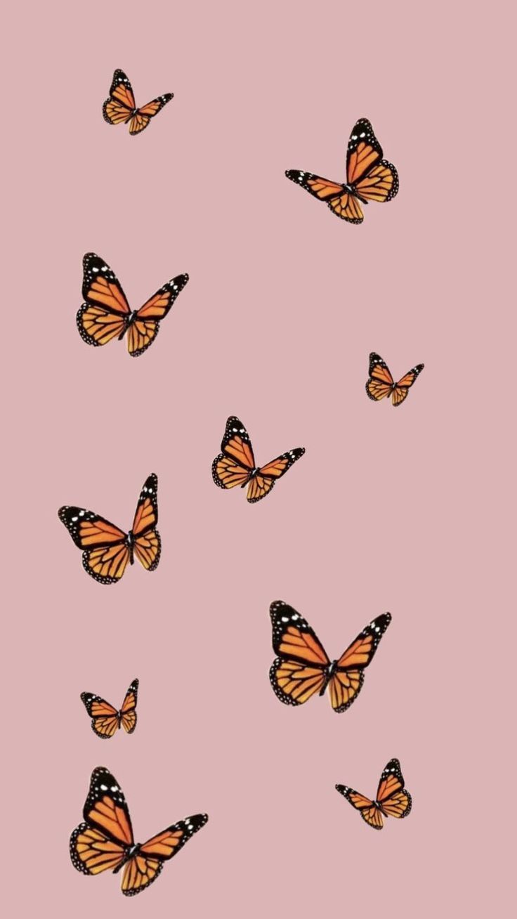 Cute Aesthetic Pink Butterfly Wallpapers Wallpapers