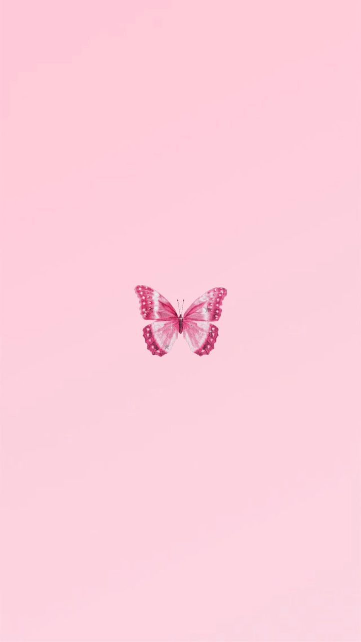 Cute Aesthetic Pink Butterfly Wallpapers Wallpapers