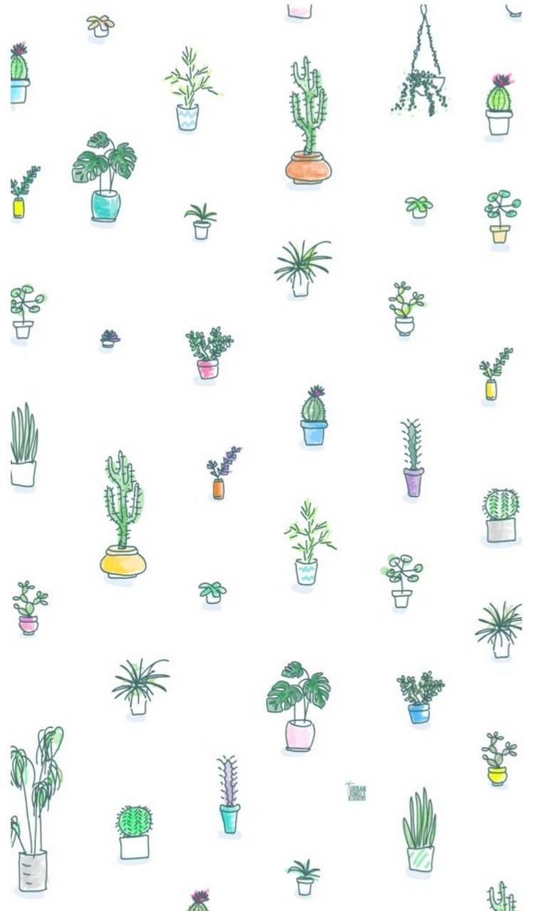 Cute Aesthetic Plant Wallpapers