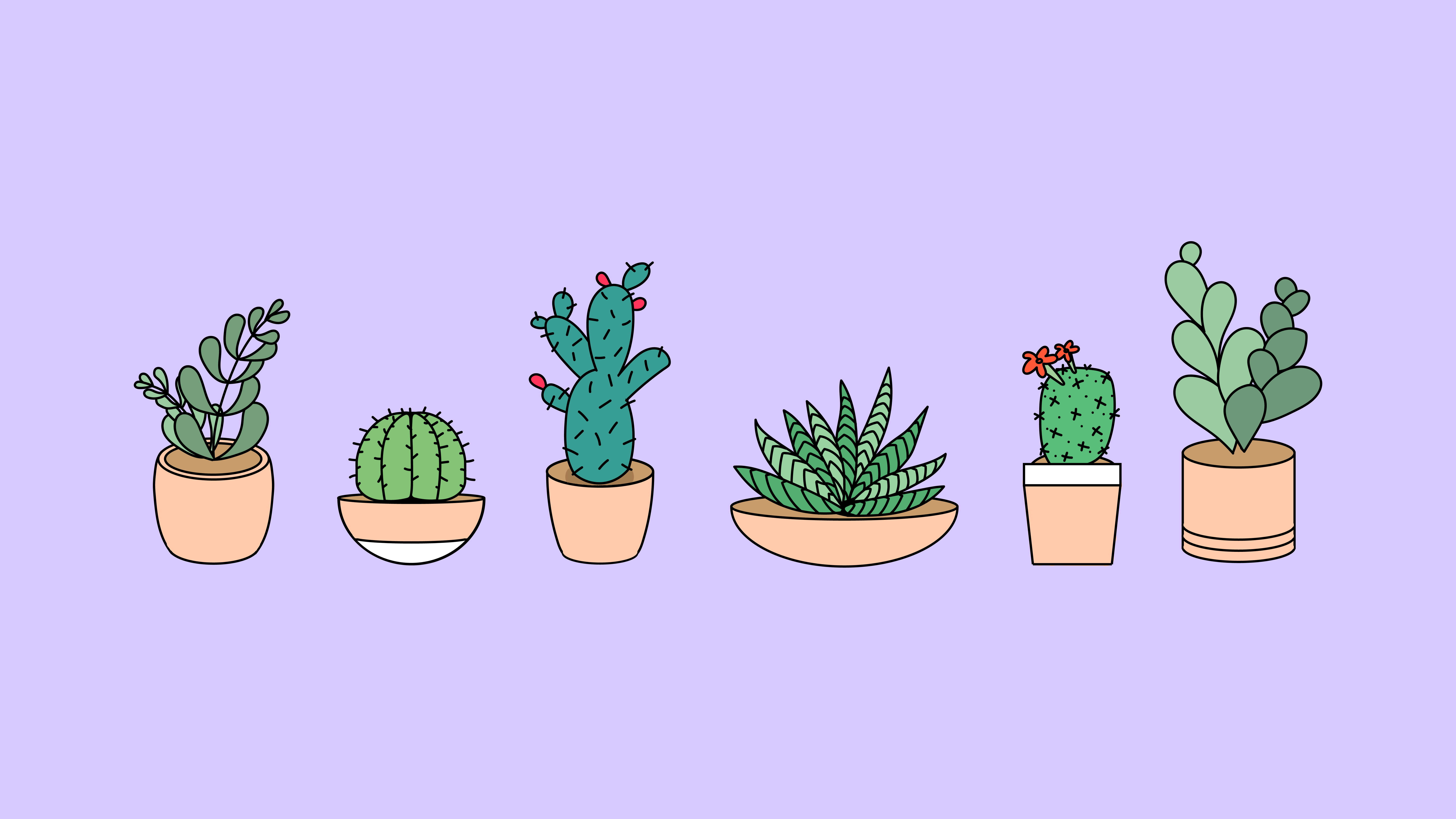 Cute Aesthetic Plant Wallpapers