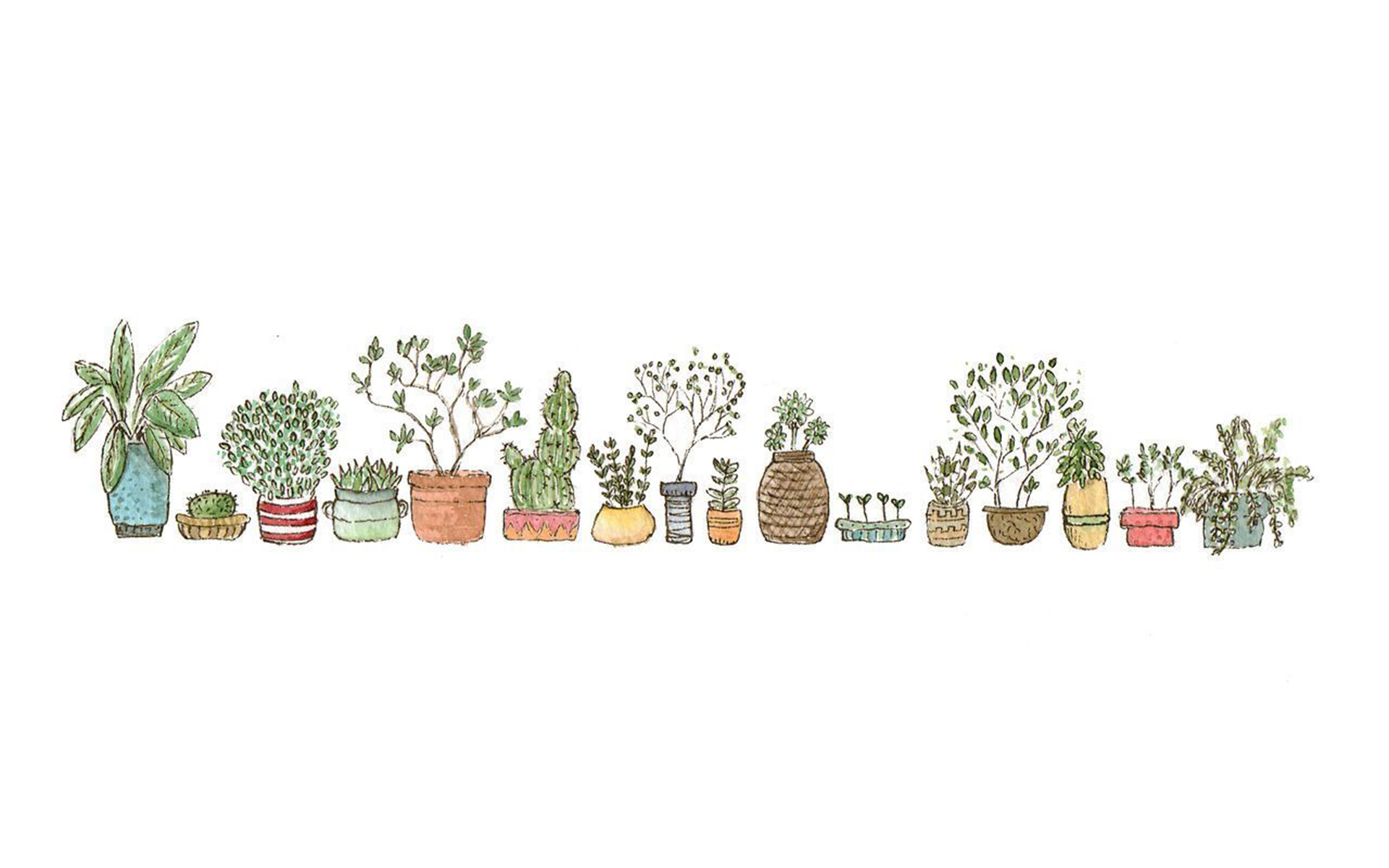 Cute Aesthetic Plant Wallpapers