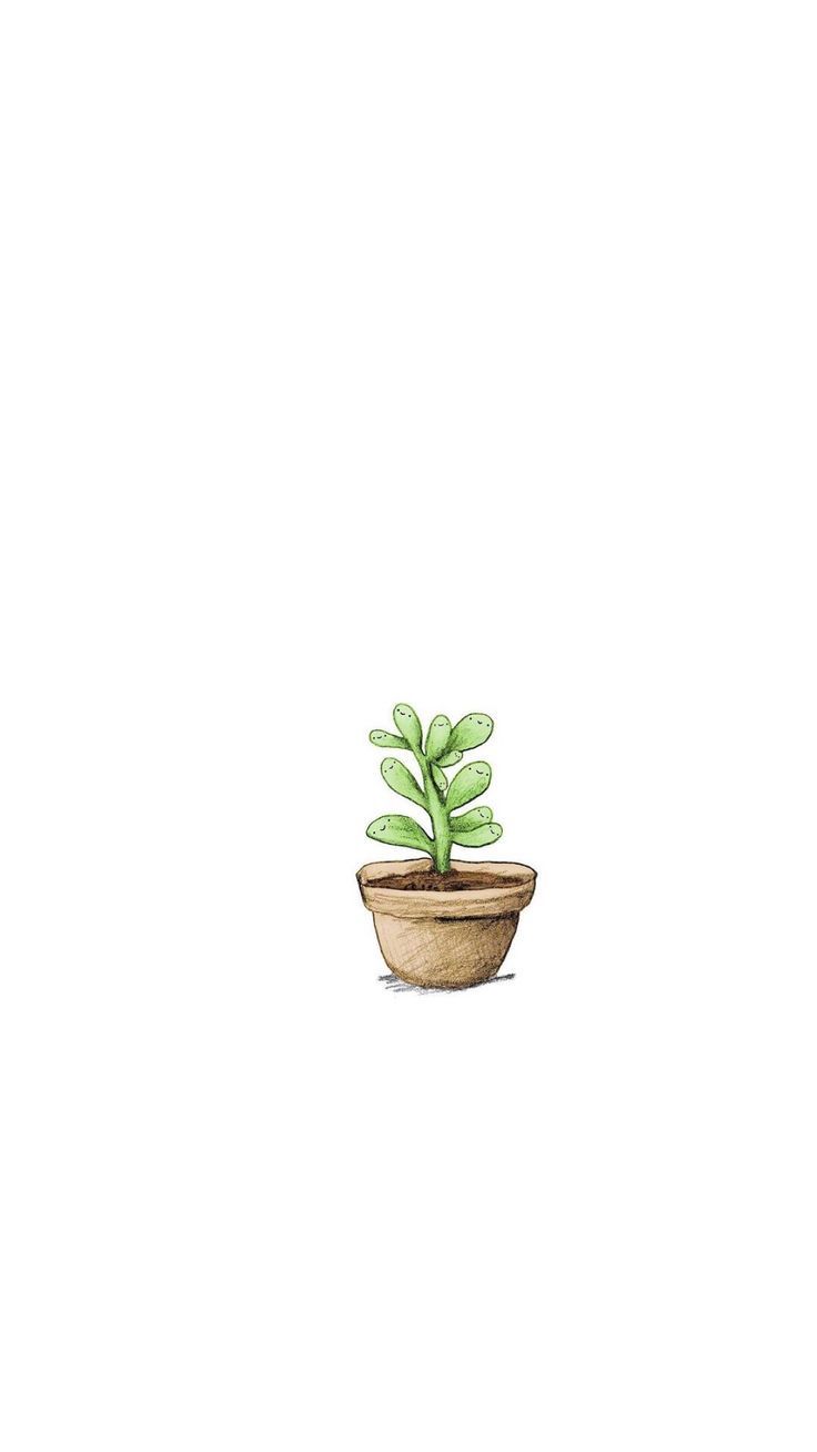 Cute Aesthetic Plant Wallpapers