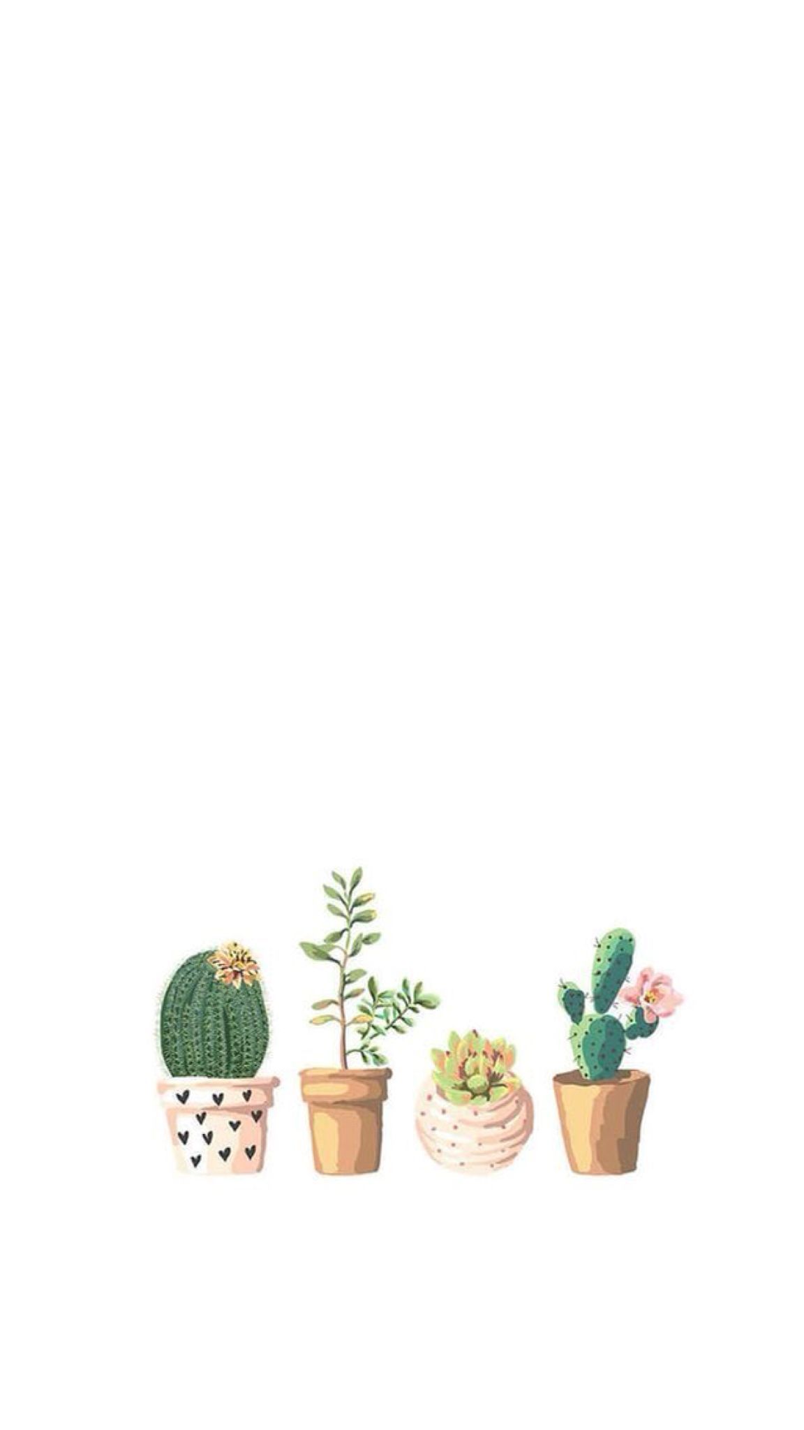 Cute Aesthetic Plant Wallpapers