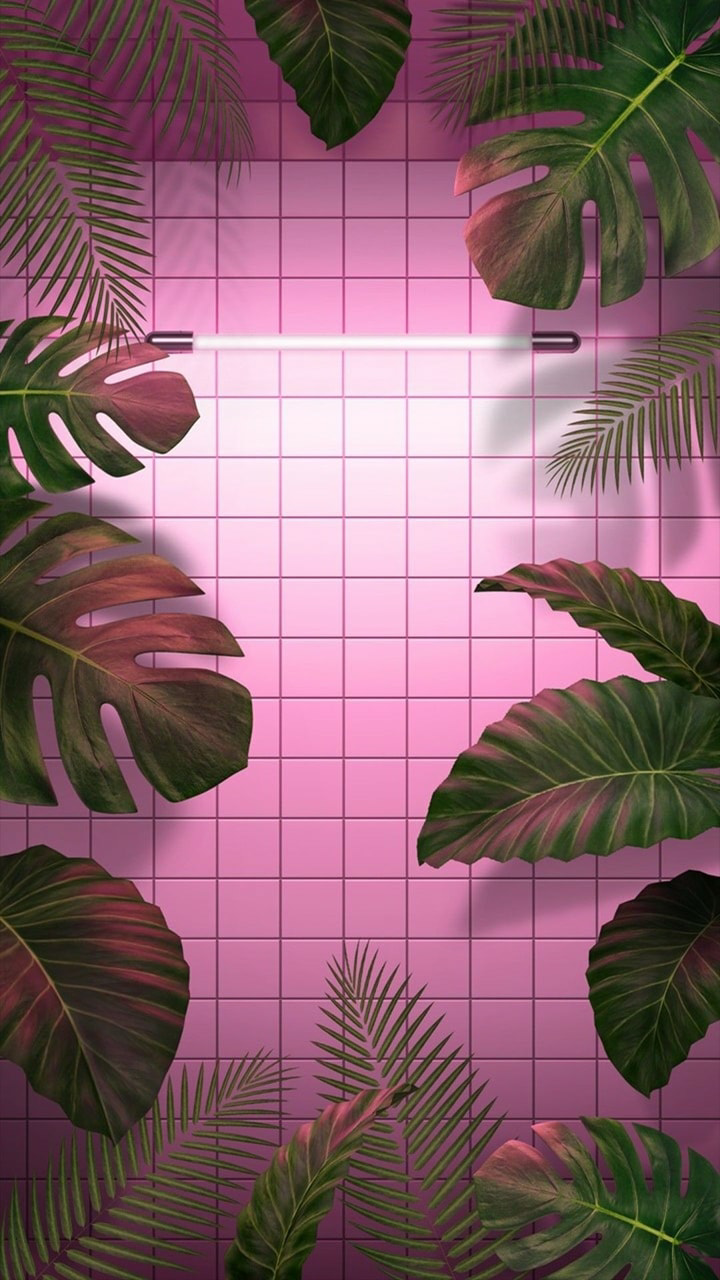 Cute Aesthetic Plant Wallpapers