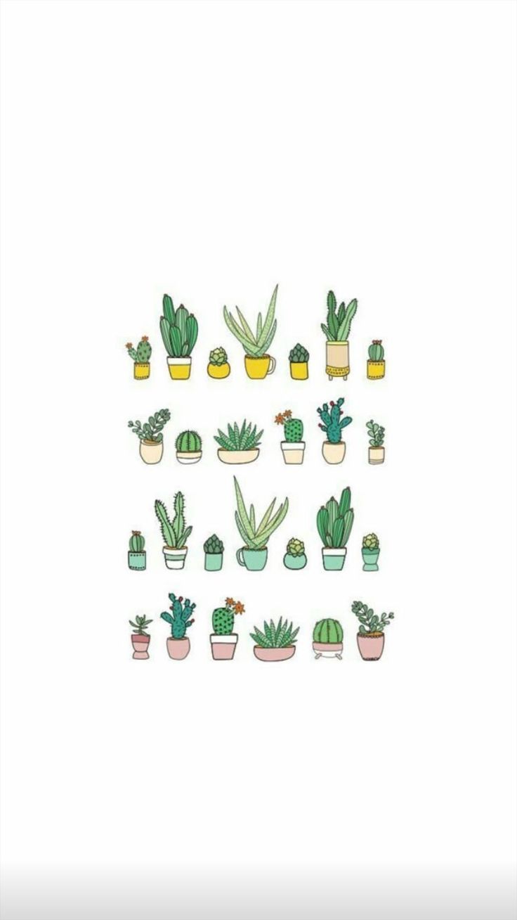 Cute Aesthetic Plant Wallpapers