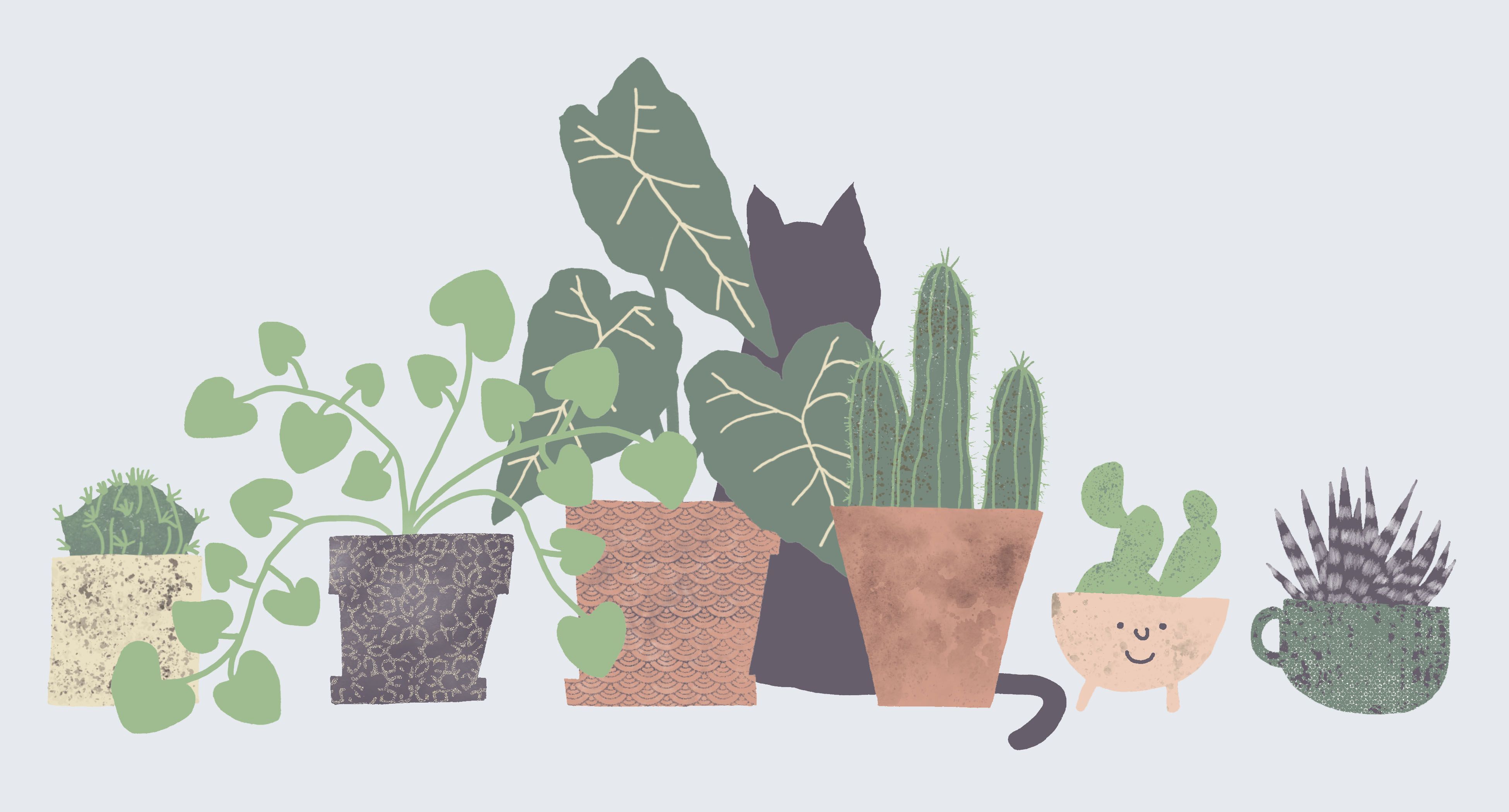 Cute Aesthetic Succulent Wallpapers