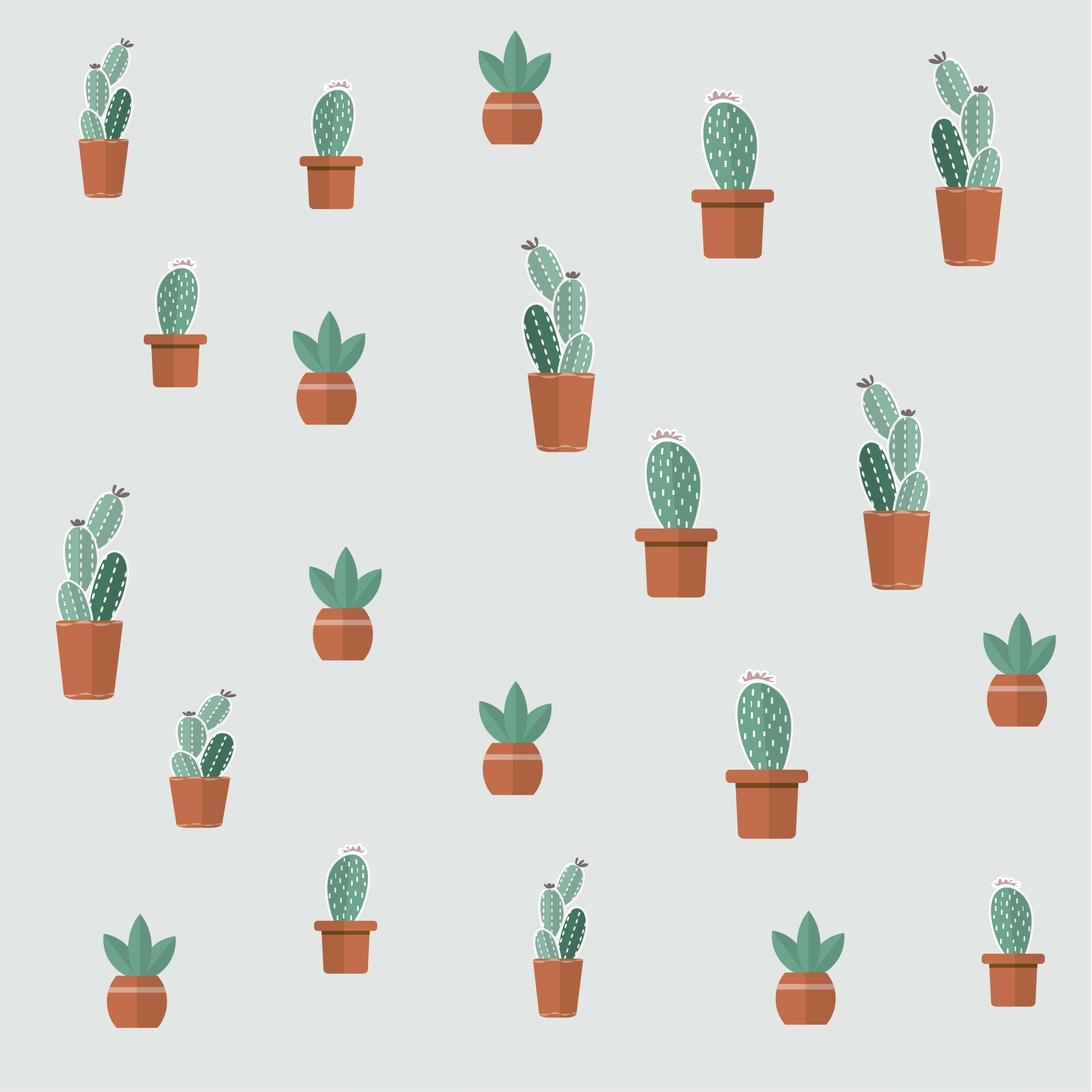 Cute Aesthetic Succulent Wallpapers