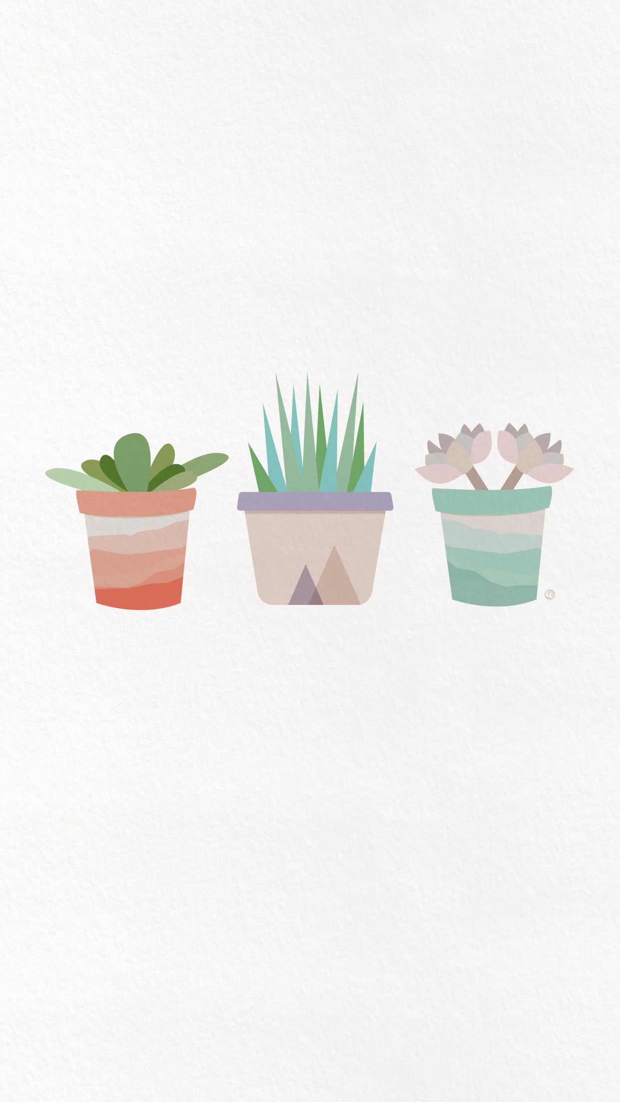 Cute Aesthetic Succulent Wallpapers