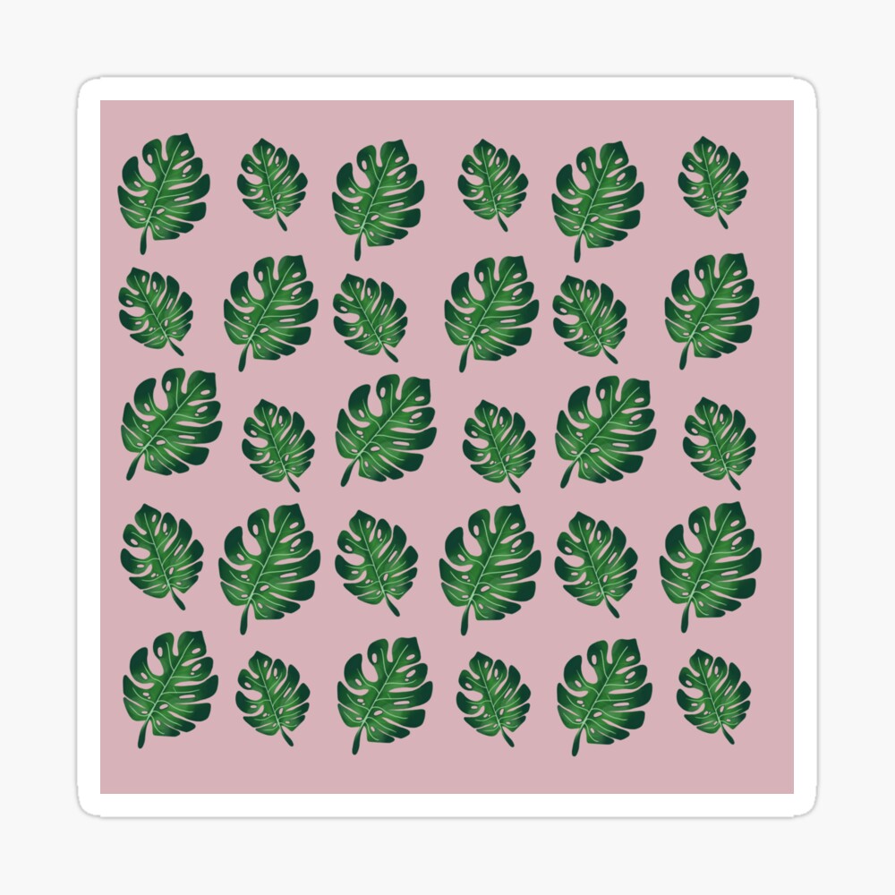 Cute Aesthetic Succulent Wallpapers