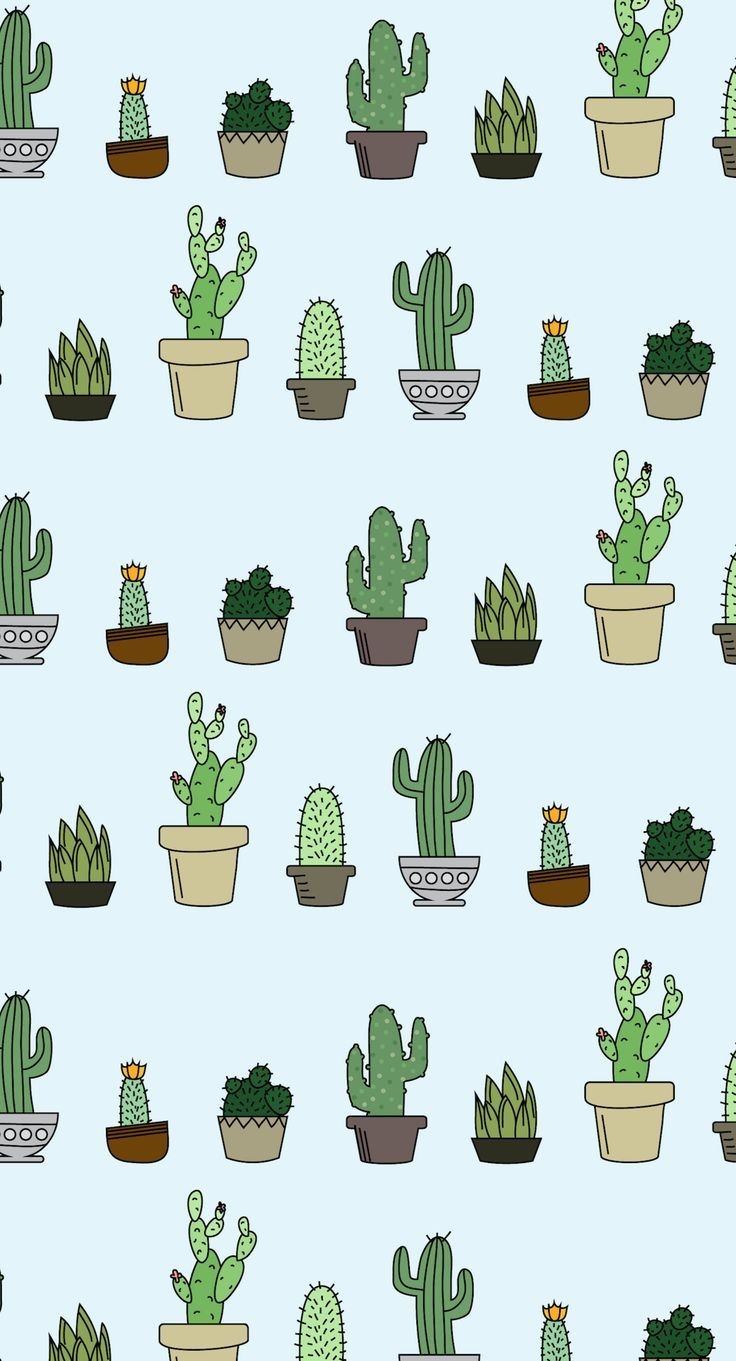 Cute Aesthetic Succulent Wallpapers