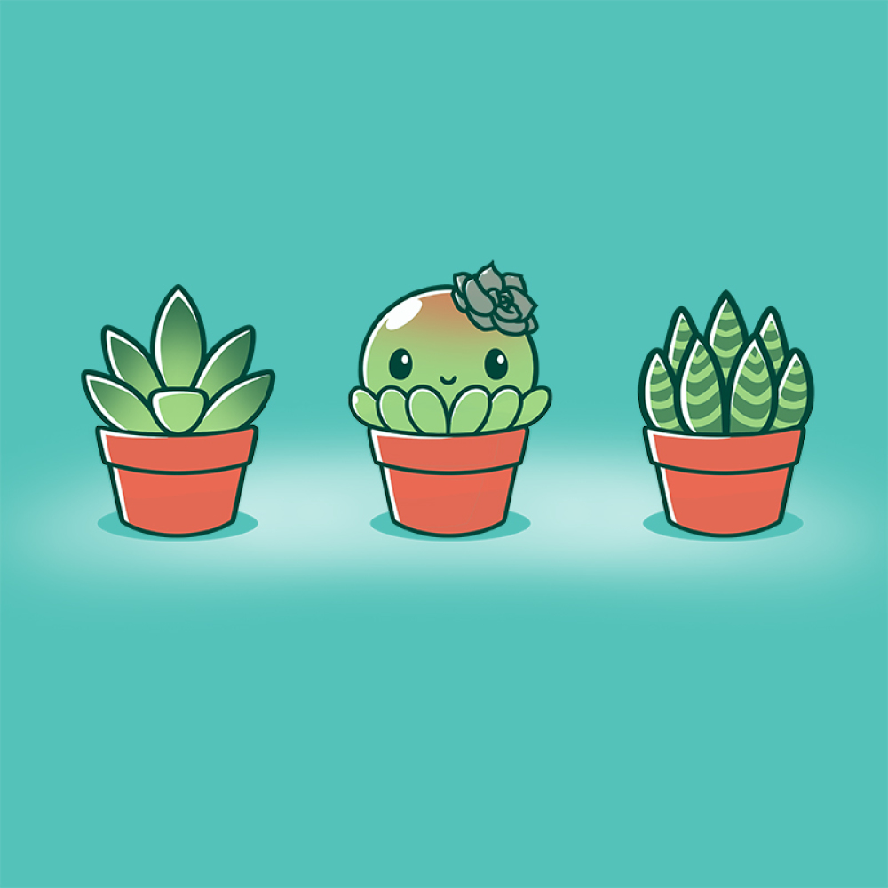 Cute Aesthetic Succulent Wallpapers