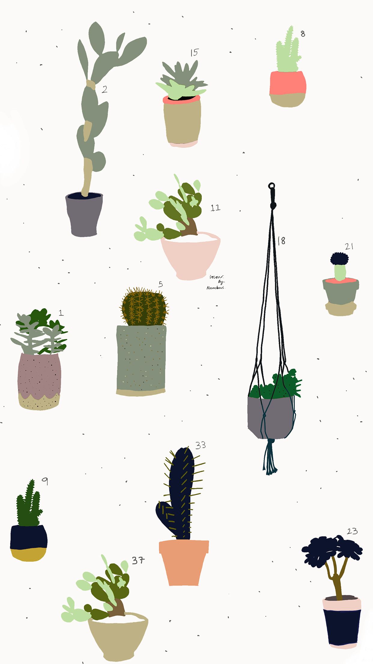 Cute Aesthetic Succulent Wallpapers