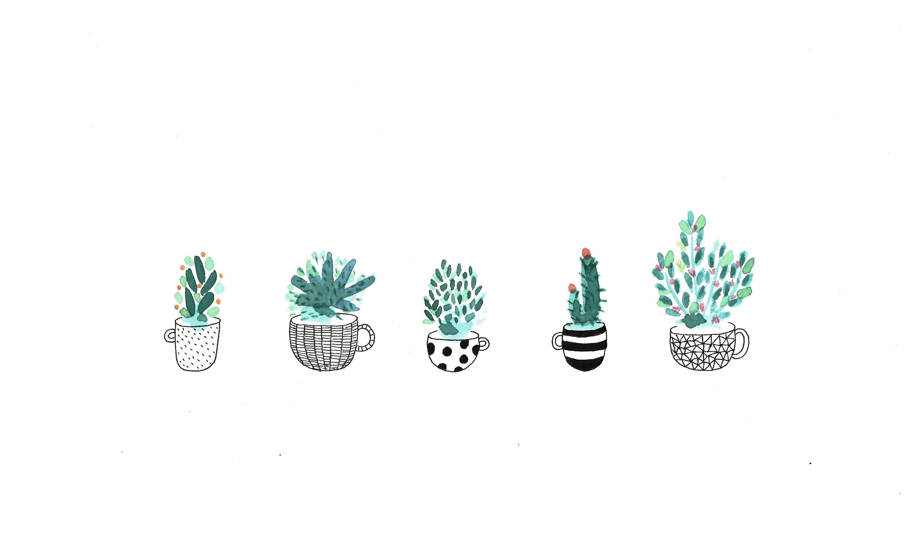 Cute Aesthetic Succulent Wallpapers