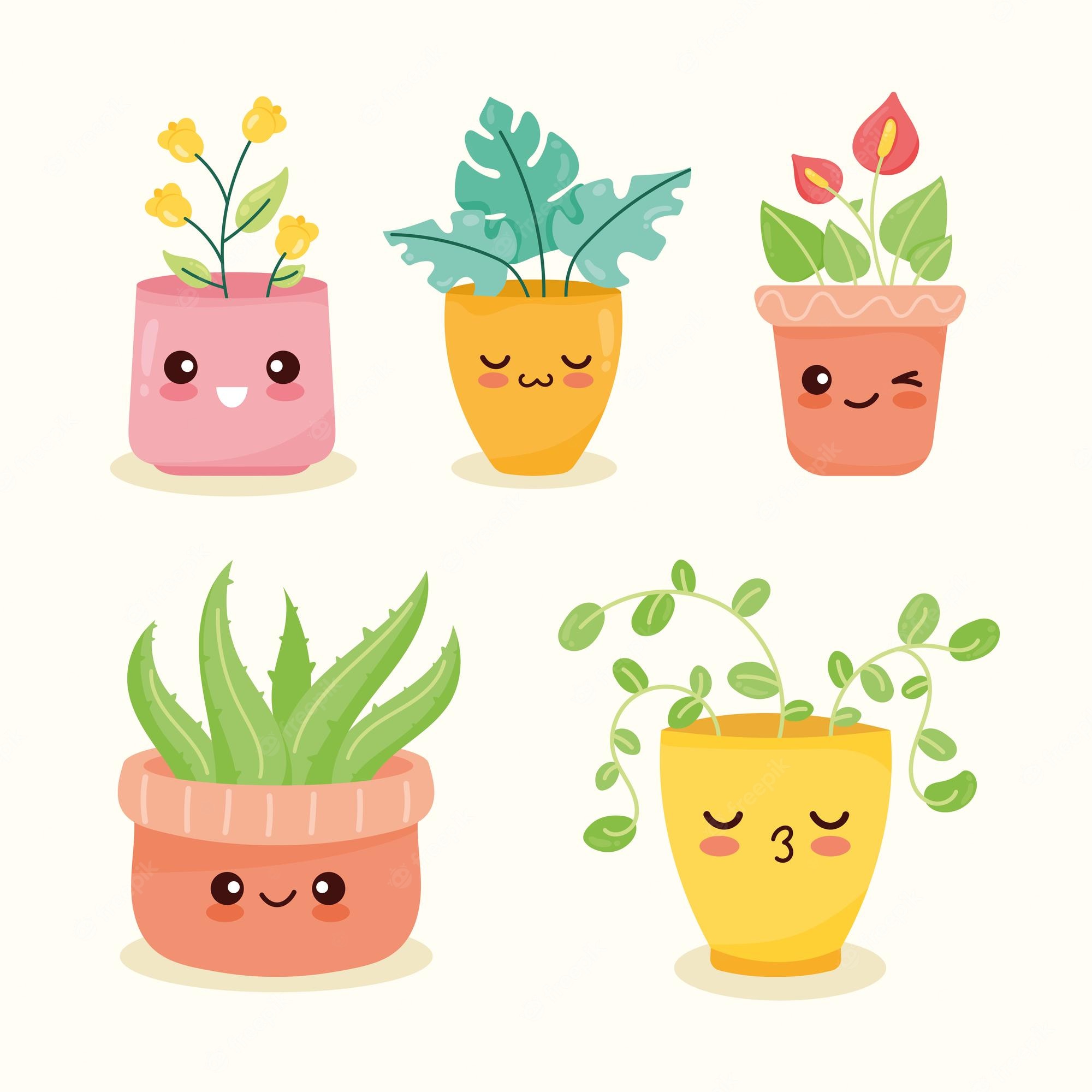 Cute Aesthetic Succulent Wallpapers