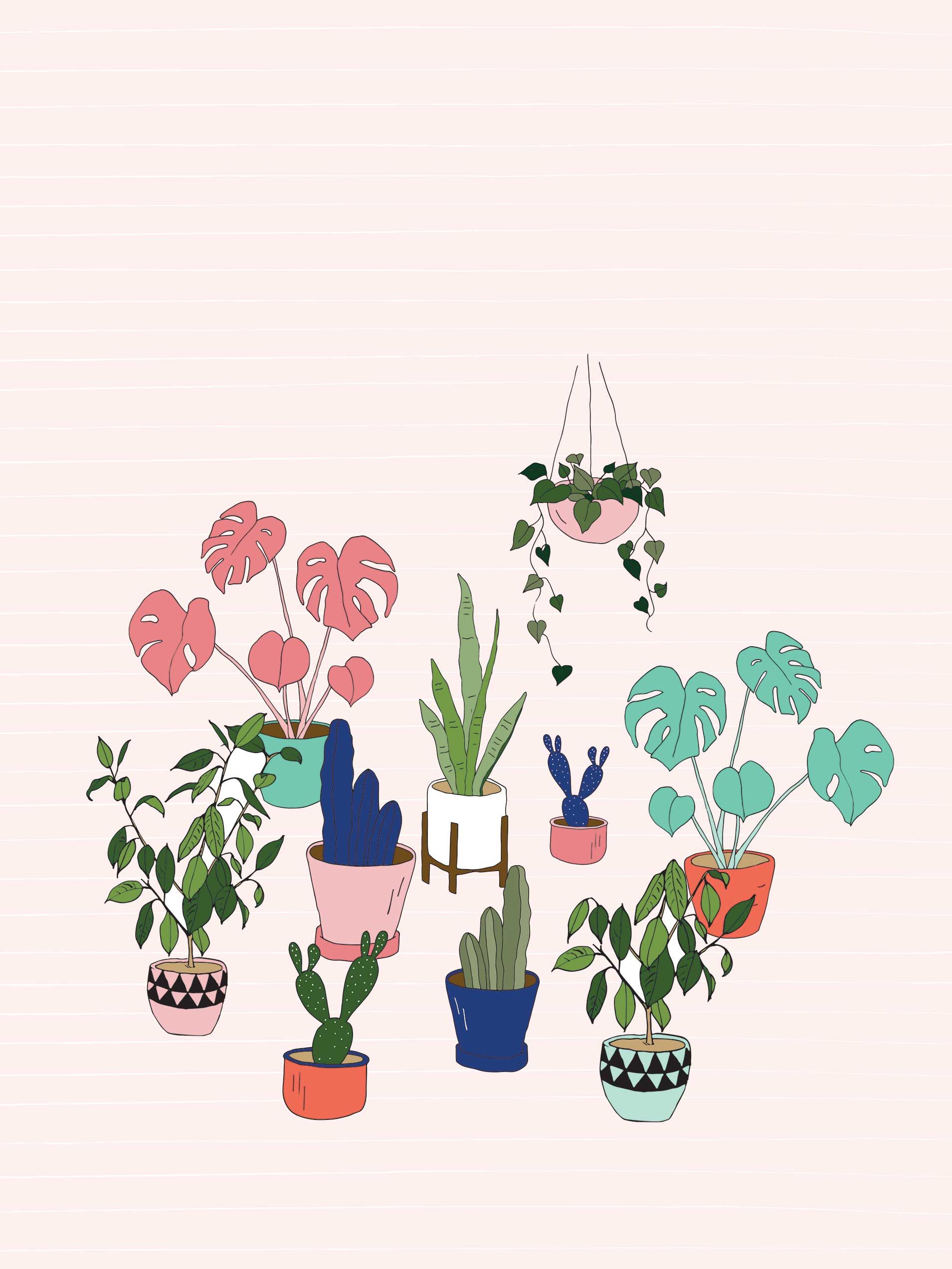 Cute Aesthetic Succulent Wallpapers