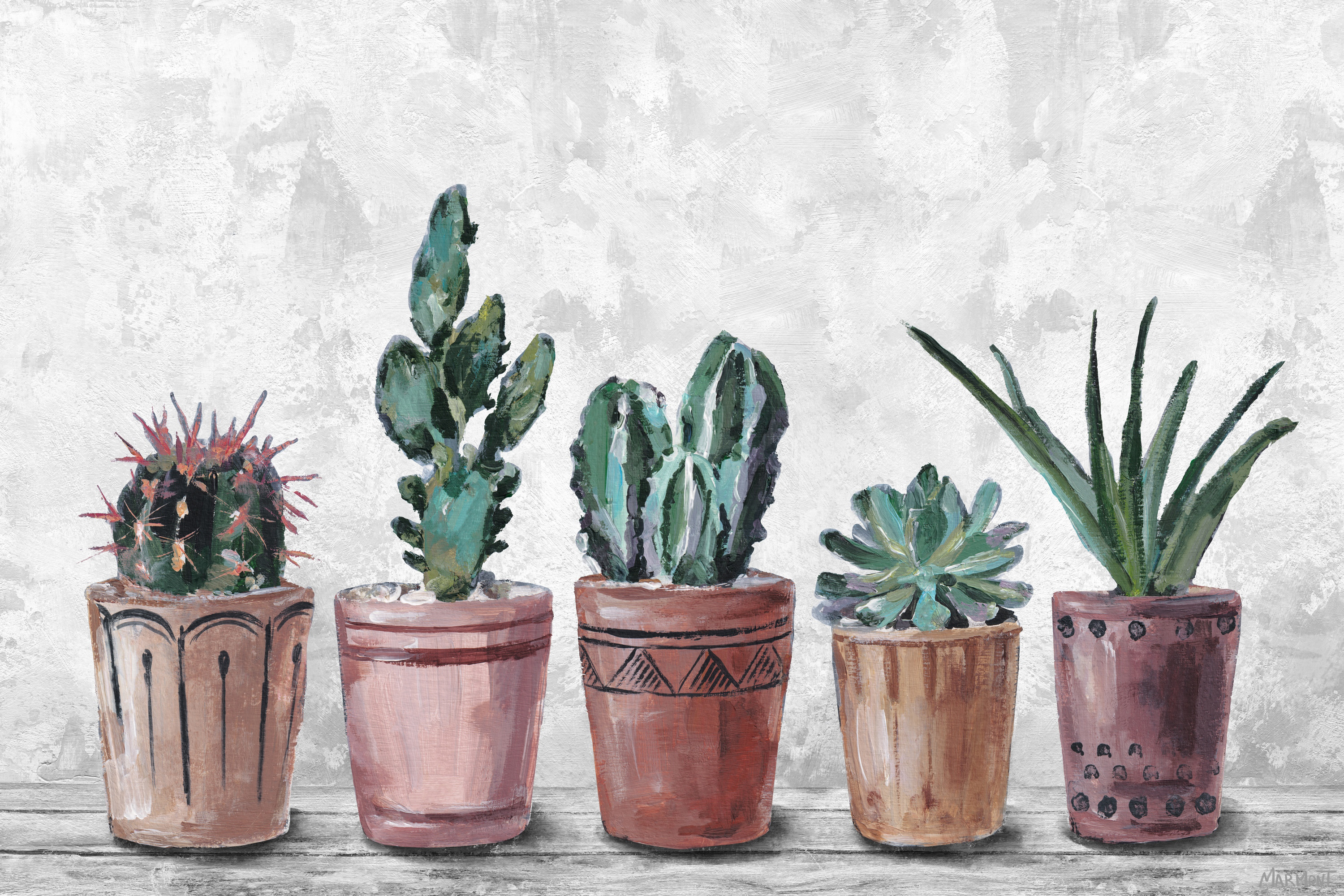 Cute Aesthetic Succulent Wallpapers