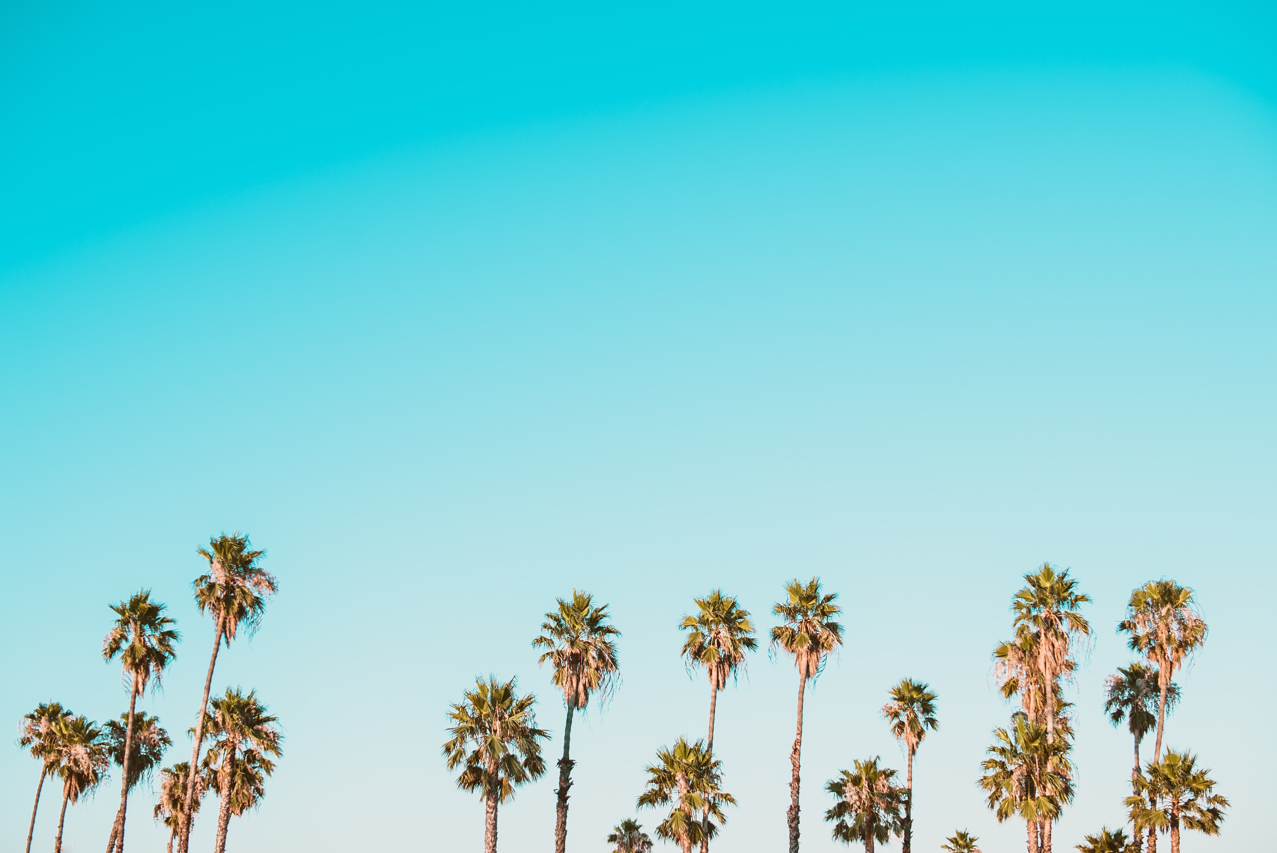 Cute Aesthetic Summer Wallpapers