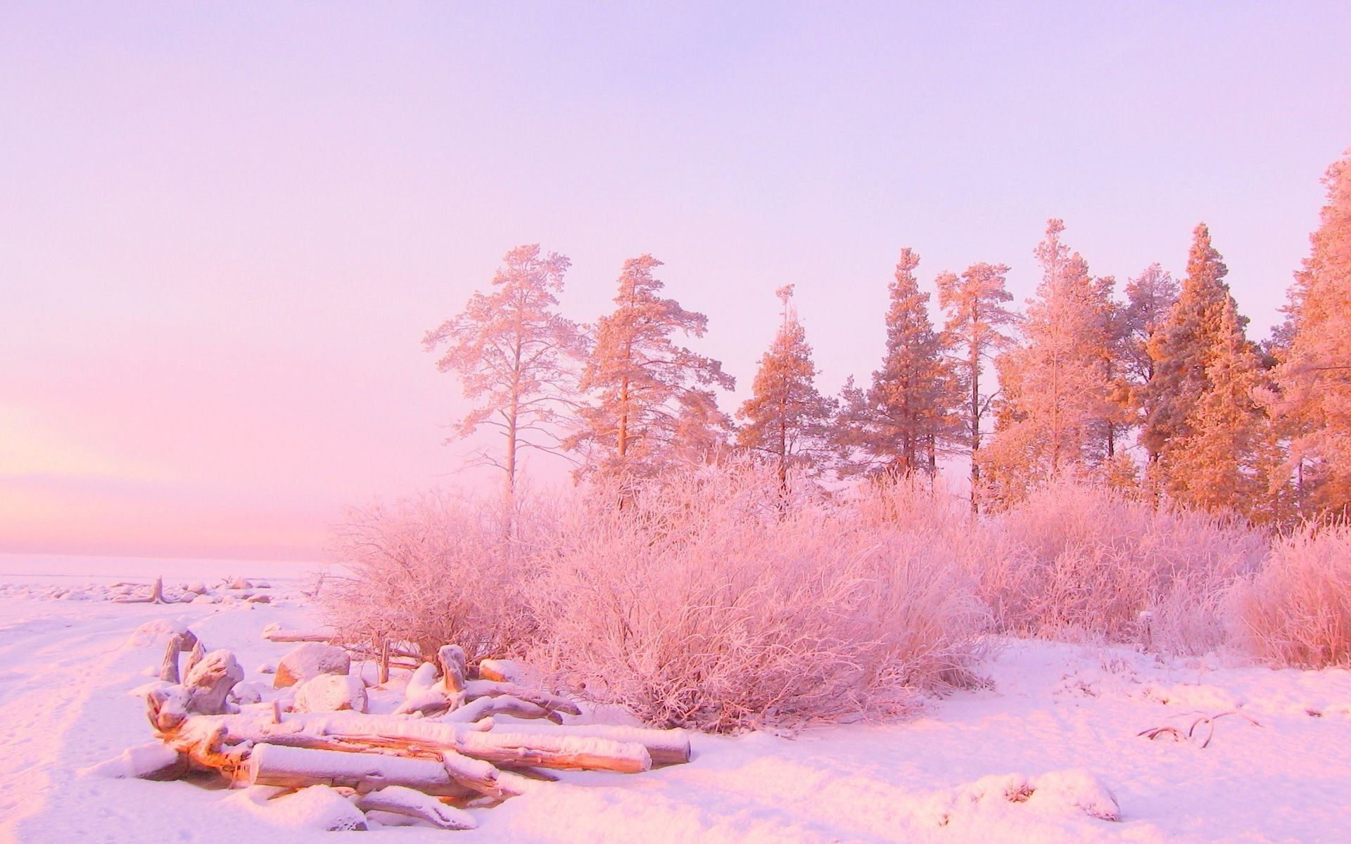 Cute Aesthetic Winter Wallpapers Wallpapers