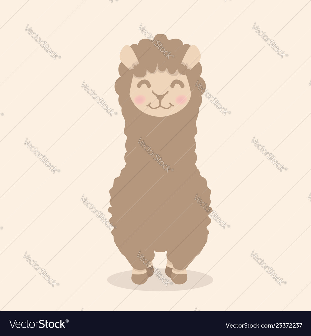 Cute Alpaca Wallpapers