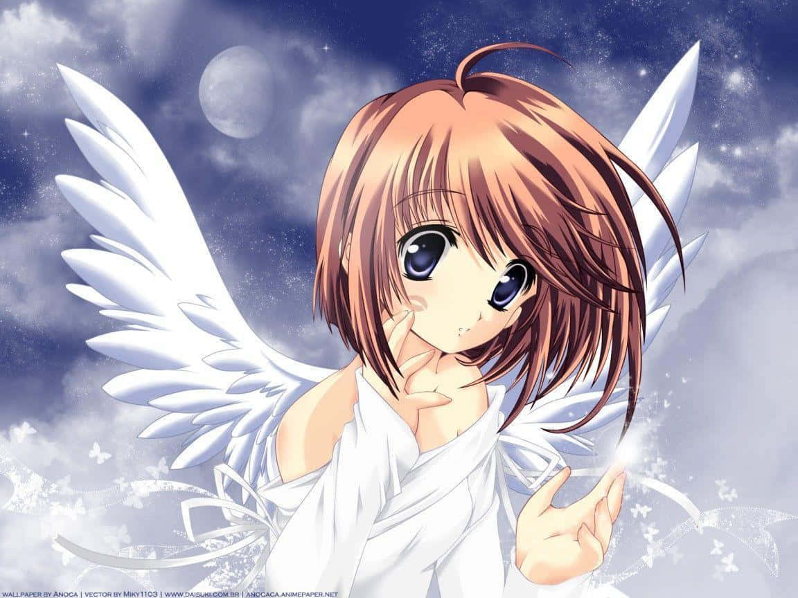 Cute Angel Anime Girl Wallpapers Wallpapers