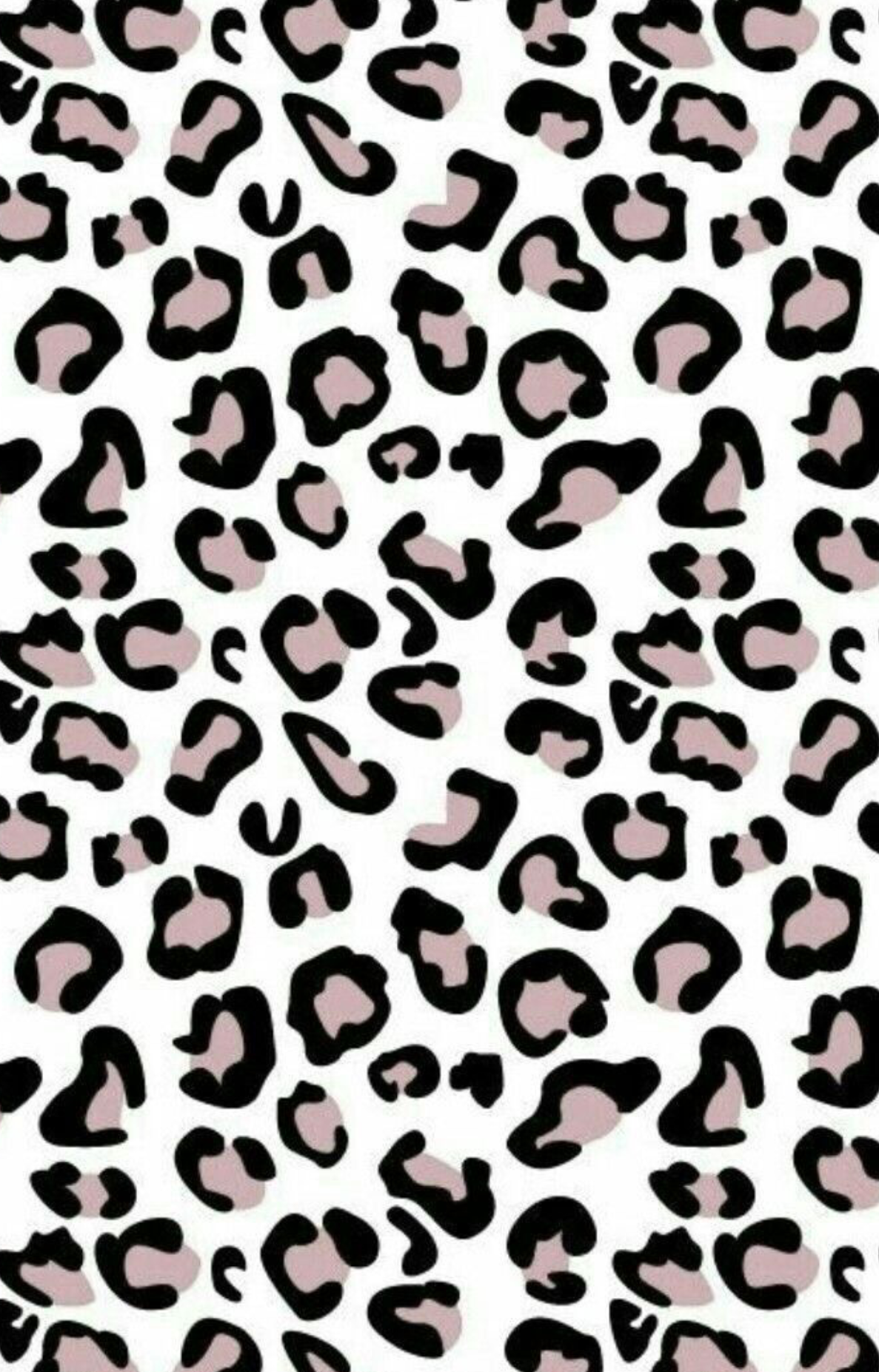 Cute Animal Print Wallpapers