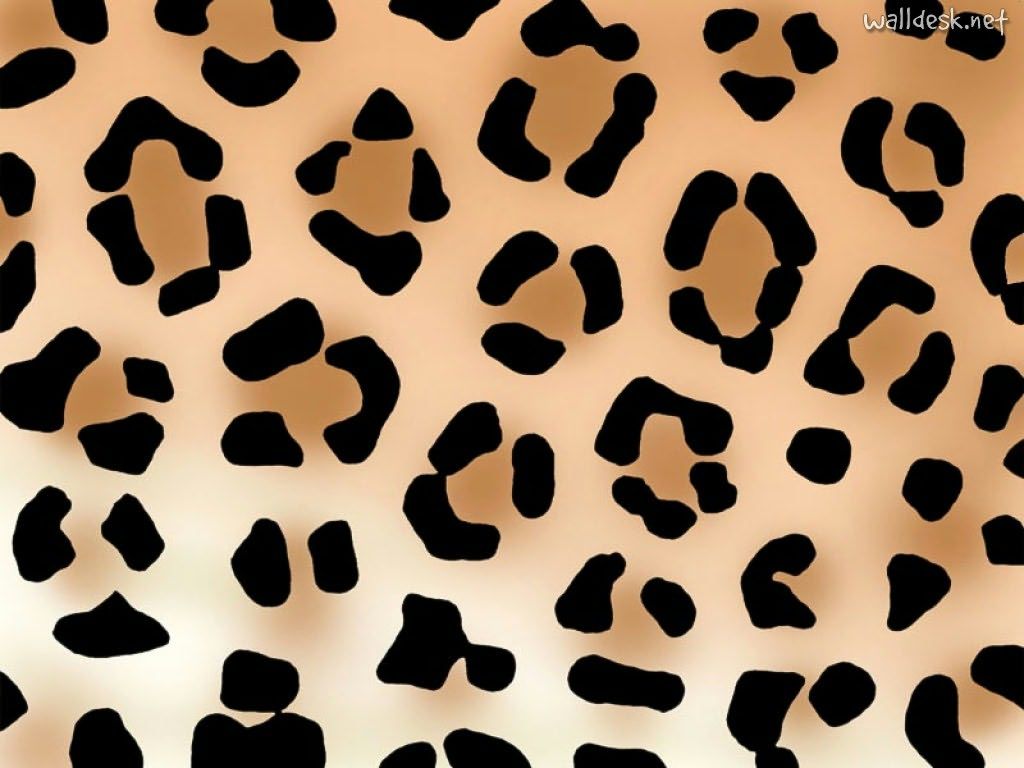 Cute Animal Print Wallpapers