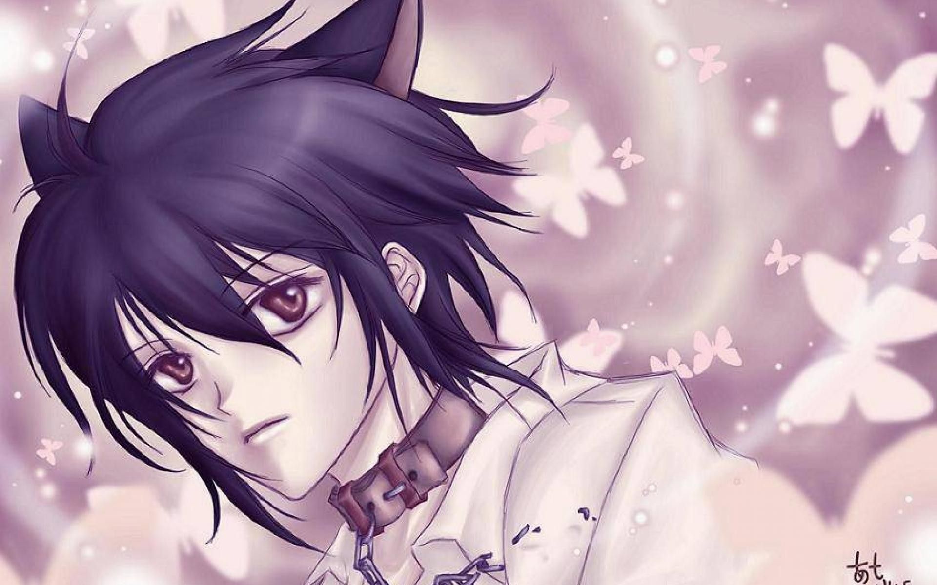 Cute Anime Cat Boy Wallpapers