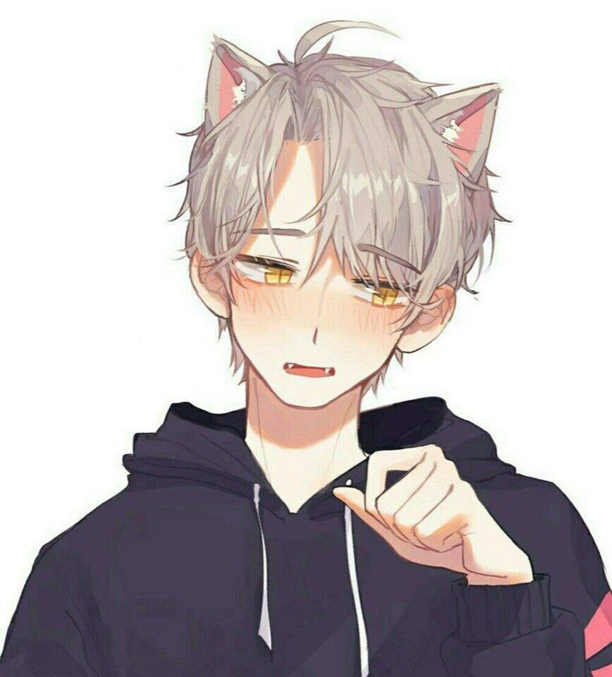 Cute Anime Cat Boy Wallpapers