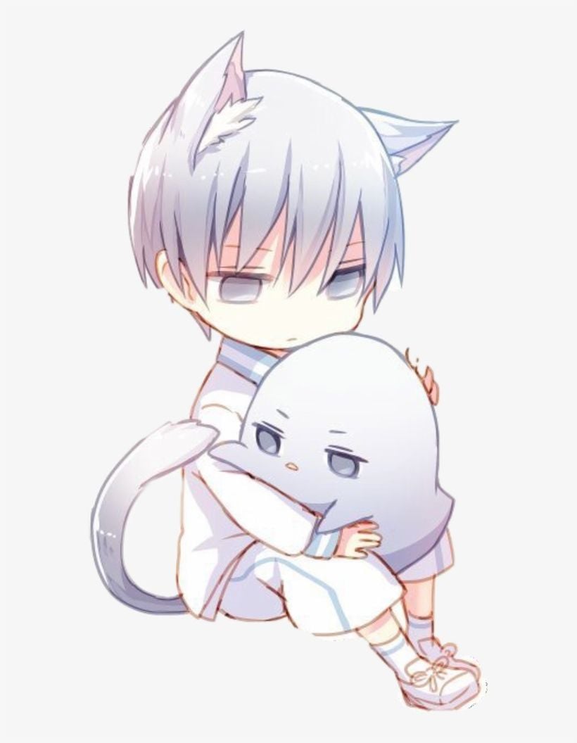 Cute Anime Cat Boy Wallpapers