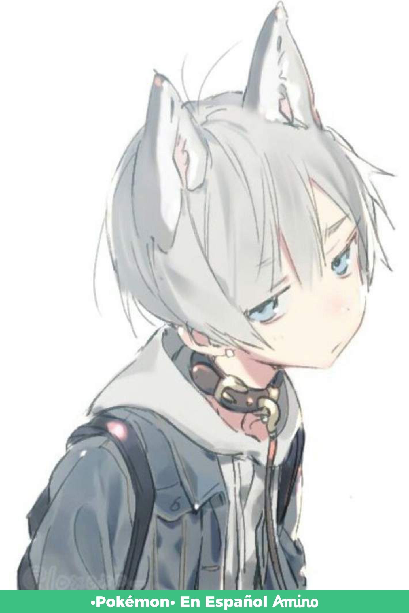Cute Anime Cat Boy Wallpapers