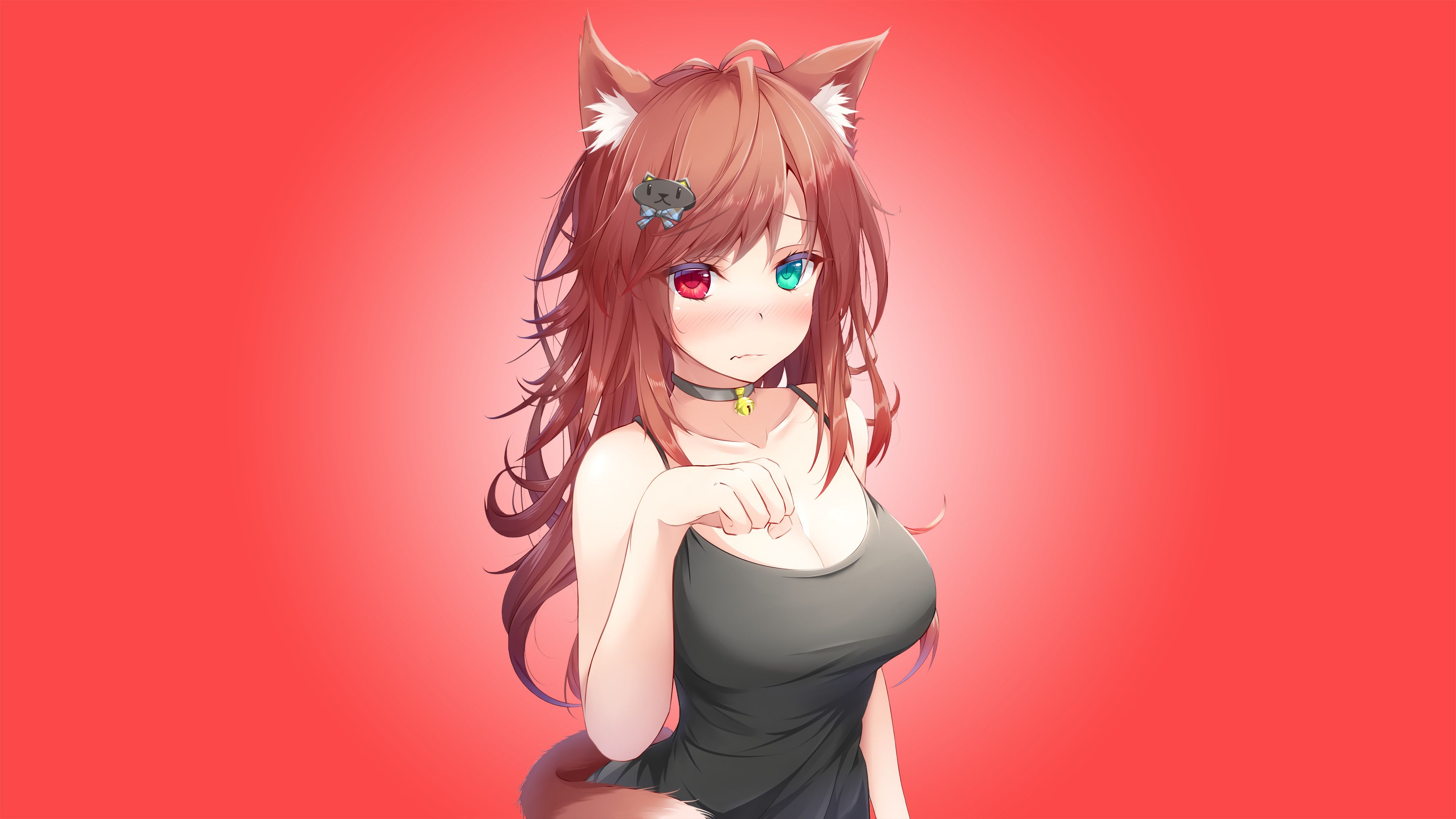 Cute Anime Cat Girl Wallpapers Wallpapers