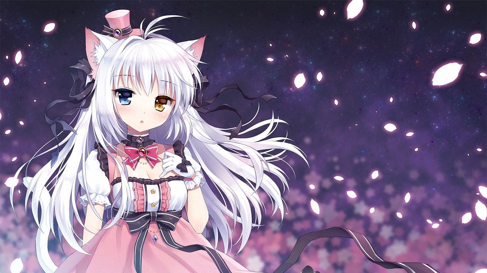 Cute Anime Girl White Hair Wallpapers Wallpapers