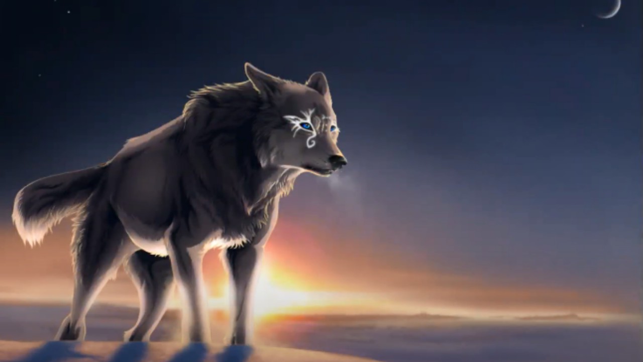 Cute Anime Wolf Wallpapers