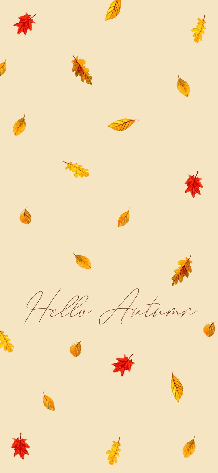 Cute Autumn Fall Wallpapers