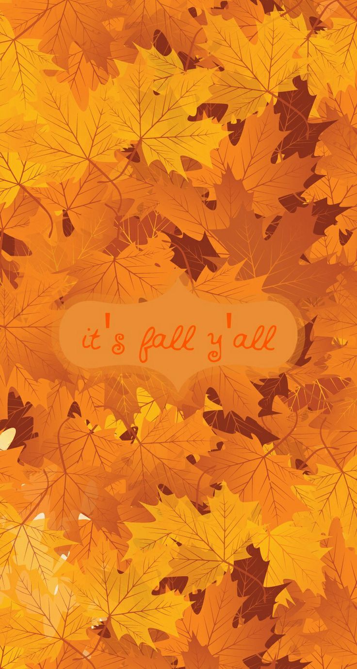 Cute Autumn Fall Wallpapers