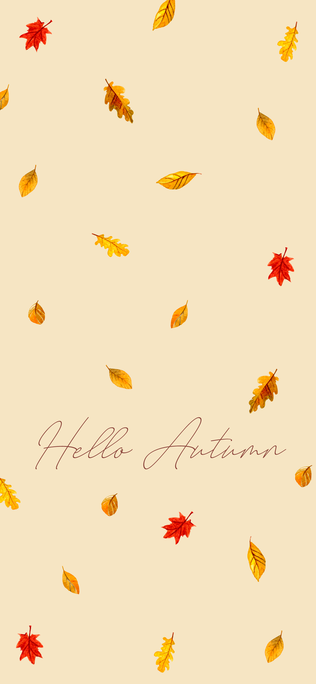 Cute Autumn Pictures Wallpapers Wallpapers