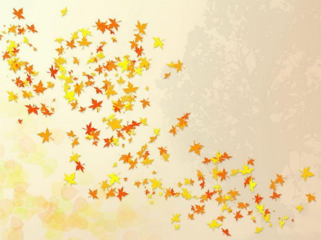 Cute Autumn Pictures Wallpapers Wallpapers