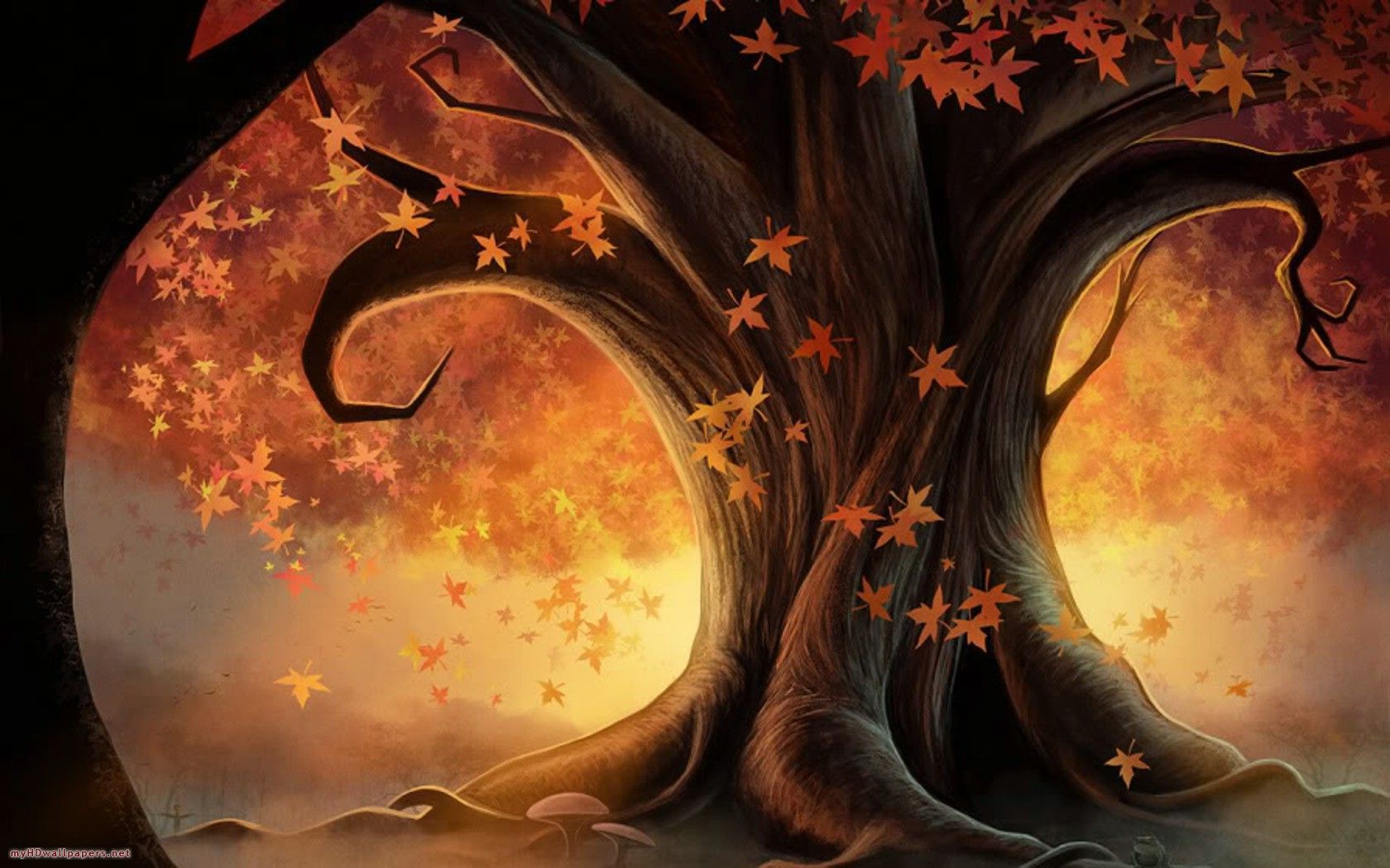 Cute Autumn Pictures Wallpapers Wallpapers