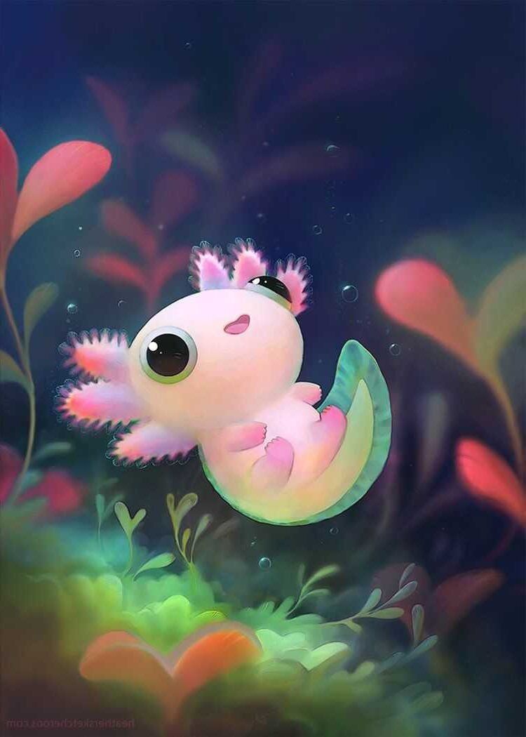 Cute Axolotl Wallpapers Wallpapers