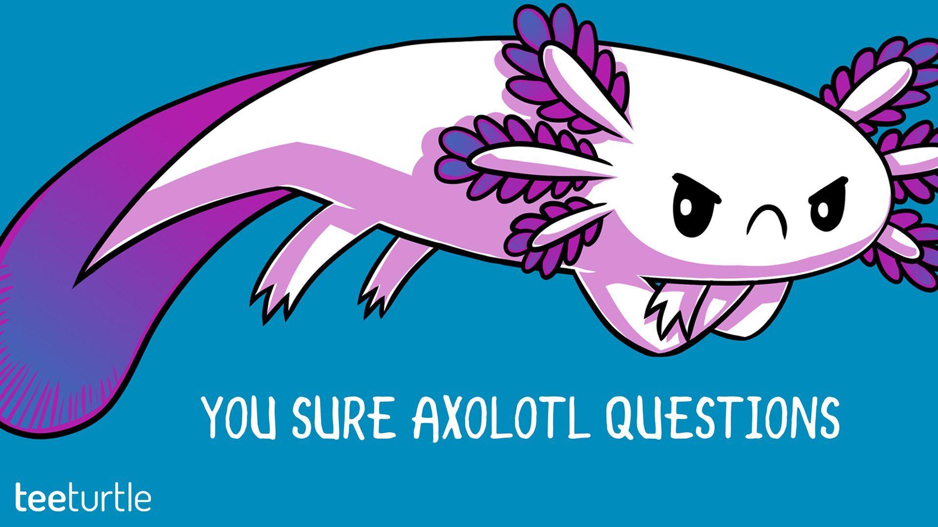 Cute Axolotl Wallpapers Wallpapers