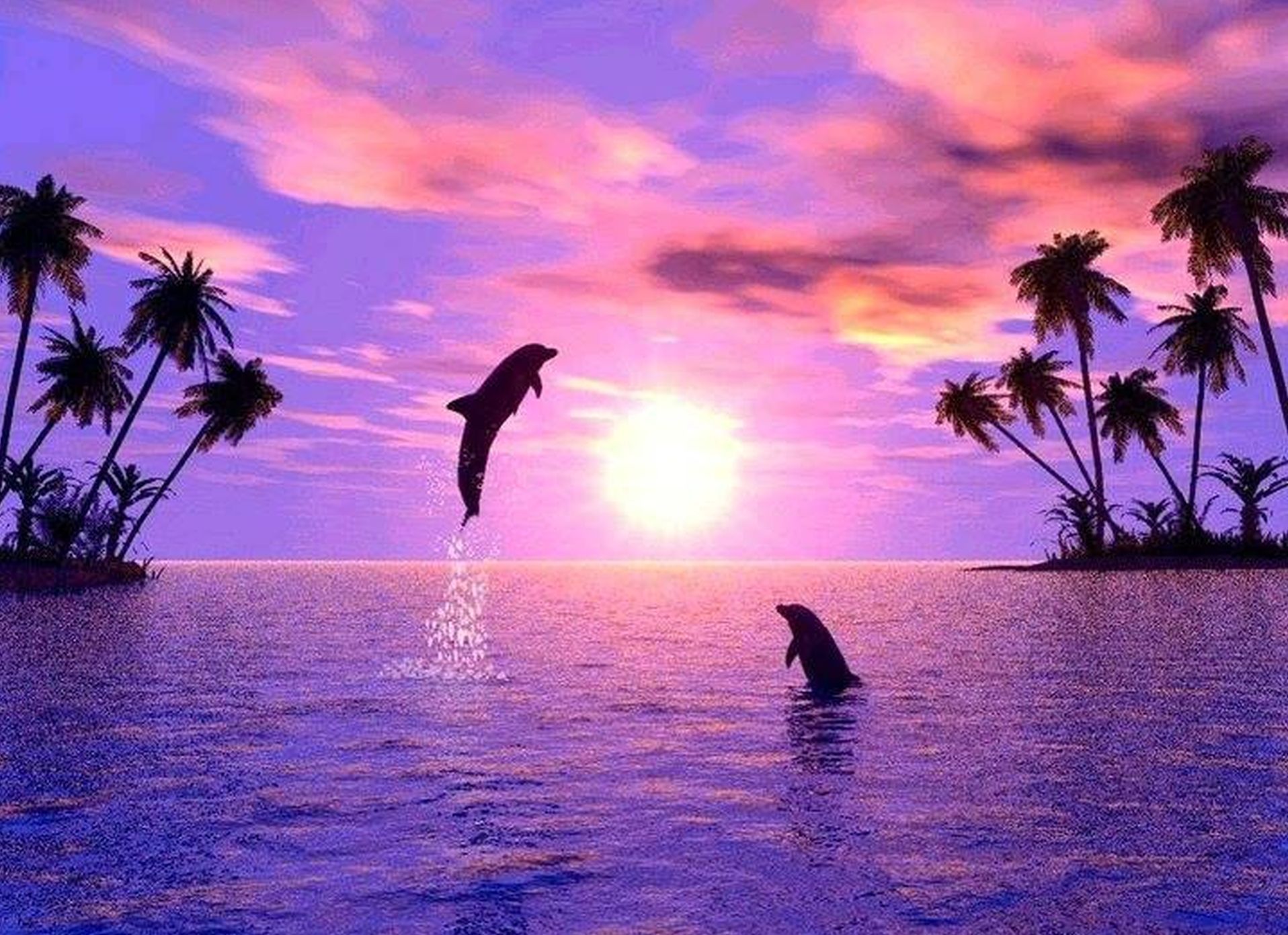 Cute Baby Dolphins Wallpapers